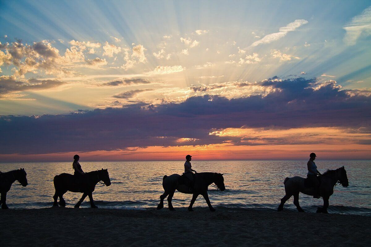 A group of people horseback riding near Anna Maria Island.