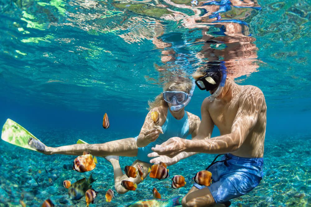 A couple snorkeling in Key West.