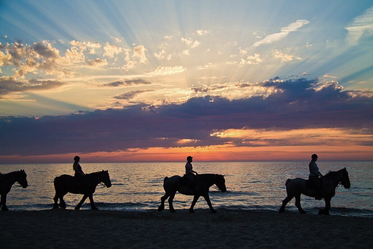 Saddle Up | Horseback Riding Near Anna Maria Island