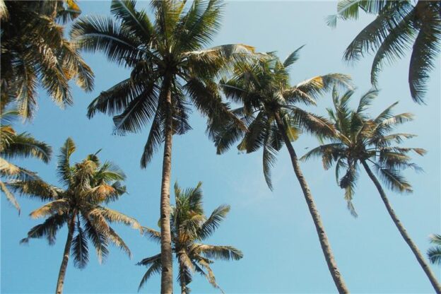 Why Winter Is the Best Time to Visit Florida’s Gulf Coast