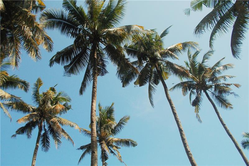 Why Winter Is the Best Time to Visit Florida’s Gulf Coast